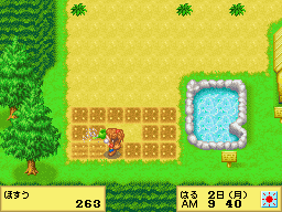 Harvest Moon DS Cute Screenshot: watering crops