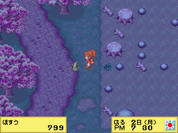 Harvest Moon DS Cute Screenshot: Wild lizard