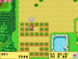 Harvest Moon DS Cute Screenshot: Blue Face