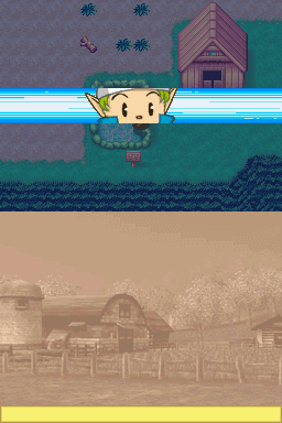 Harvest Moon DS Cute Screenshot: Finding a Sprite!
