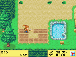 Harvest Moon DS Cute Screenshot: Hoe
