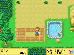 Harvest Moon DS Cute Screenshot: sewing seeds