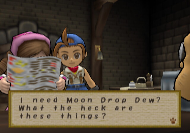 harvest moon ds recipes
